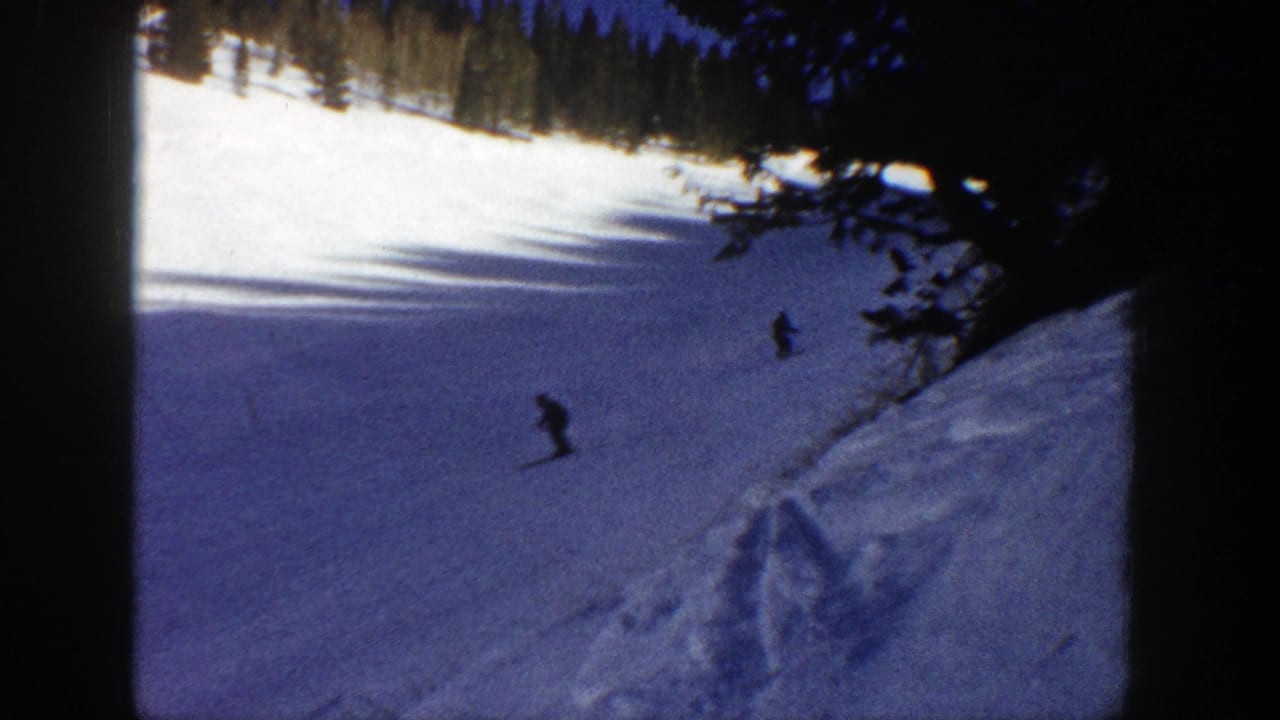 Two distant skiers on a broad snowy run with trees and a shadowed slope edge.
