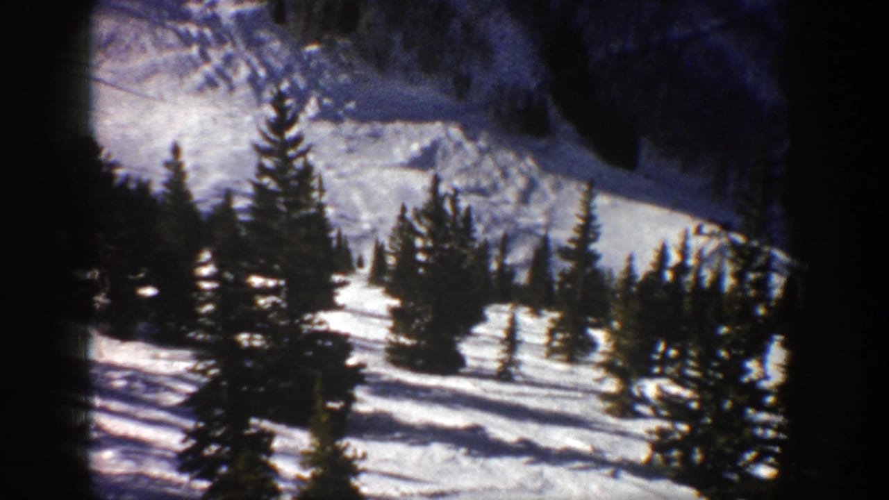 Evergreen trees on a snowy slope beneath a shaded mountain edge.