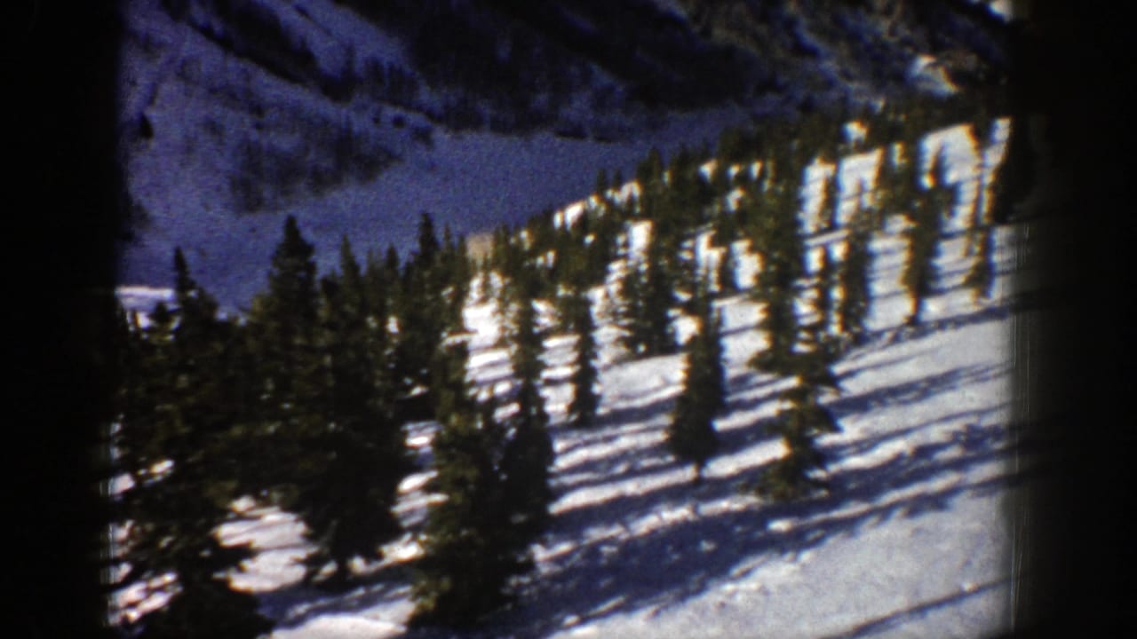 Snowy hillside with evergreen trees and long shadows.