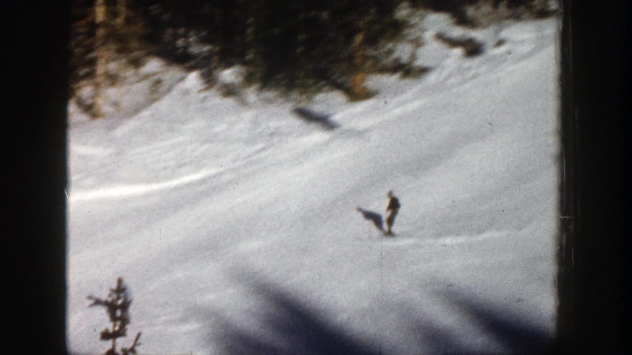 Distant skier descending a sunlit snowy slope near evergreen trees.