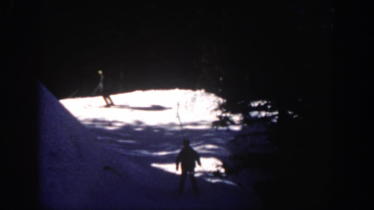 Distant skier on a bright snowy slope bordered by dark trees.