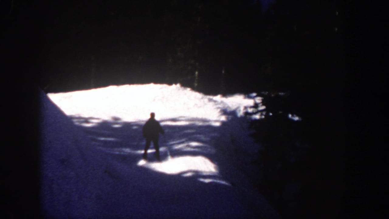 Skier stands or turns on a sunlit slope with dark trees behind.