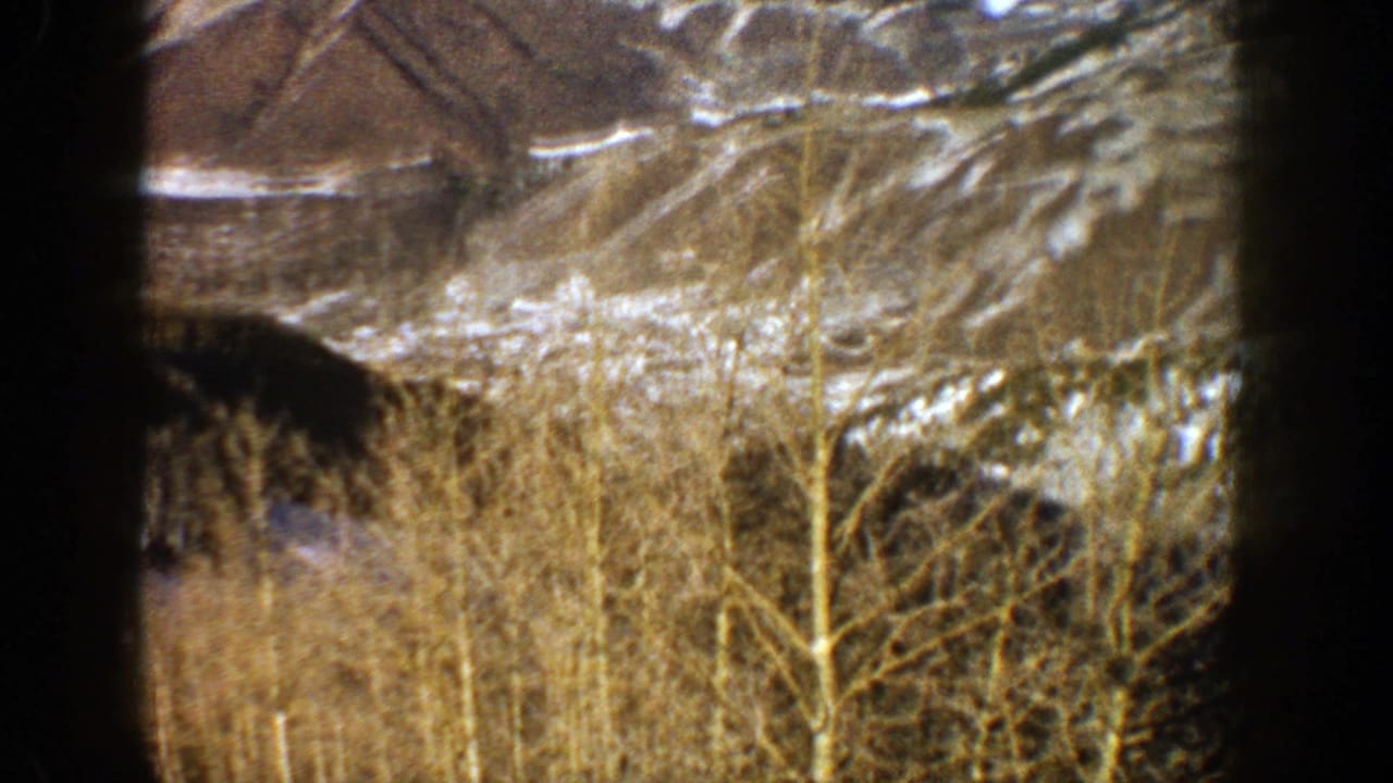 Snowy hills and bare trees viewed through dark vertical film-frame borders.