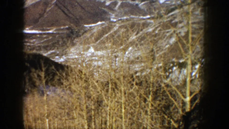1961 Aspen, Colorado home-movie view of bare aspen trunks and brush against snow-streaked mountain terrain.