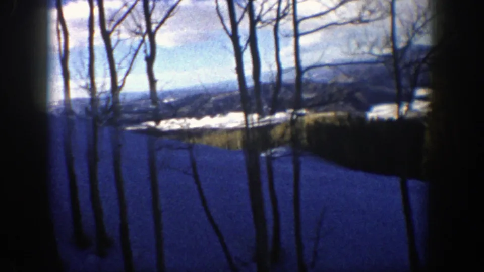 1961 Aspen, Colorado 8mm frame with leafless aspen trunks in snow and a distant valley landscape beyond.
