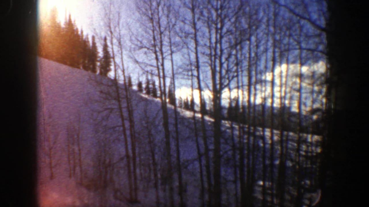 Snowy hillside seen through bare trees with dark film edges and bright sun flare.