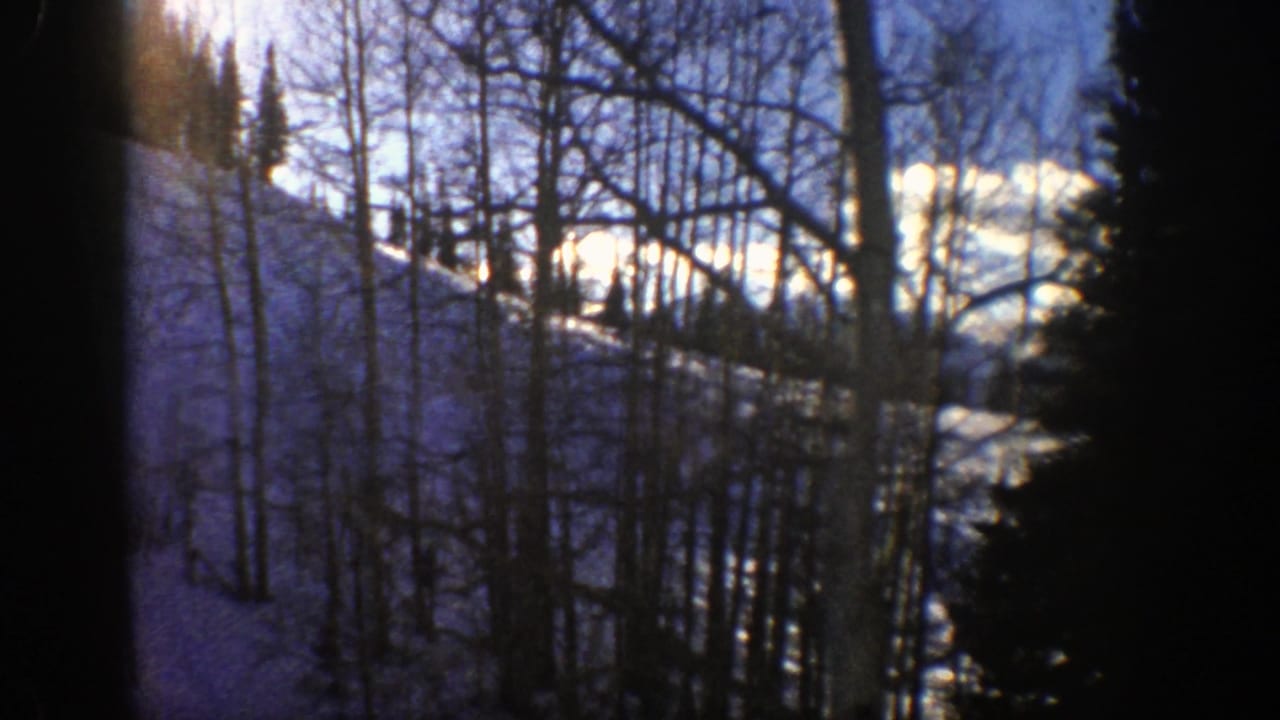 1961 Aspen, Colorado view of a snowy mountain slope behind thin tree trunks, with dark gate edge and blue sky visible.