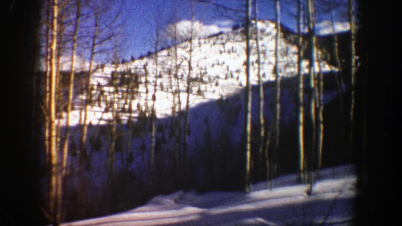 Bare aspen trees frame snowy mountain slopes under a blue sky.