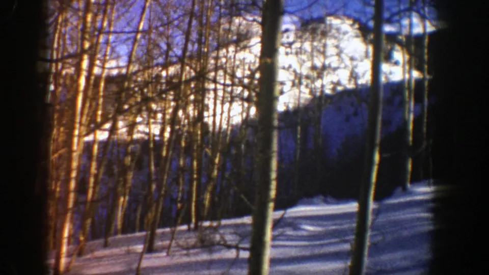 1961 Aspen frame with thin winter trees on a snowy slope and mountain terrain visible beyond.