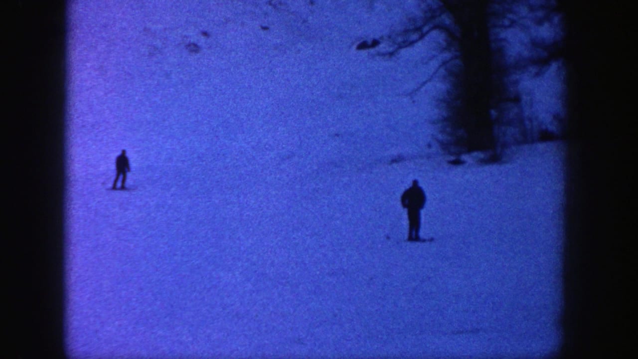 Two distant skiers on a blue-tinted snowy slope with bare trees above them.