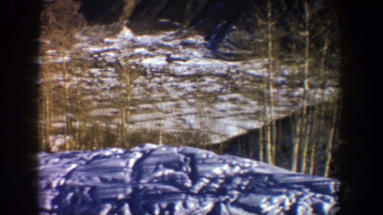 Snowy slope and bare aspen trees seen through dark film-frame edges.