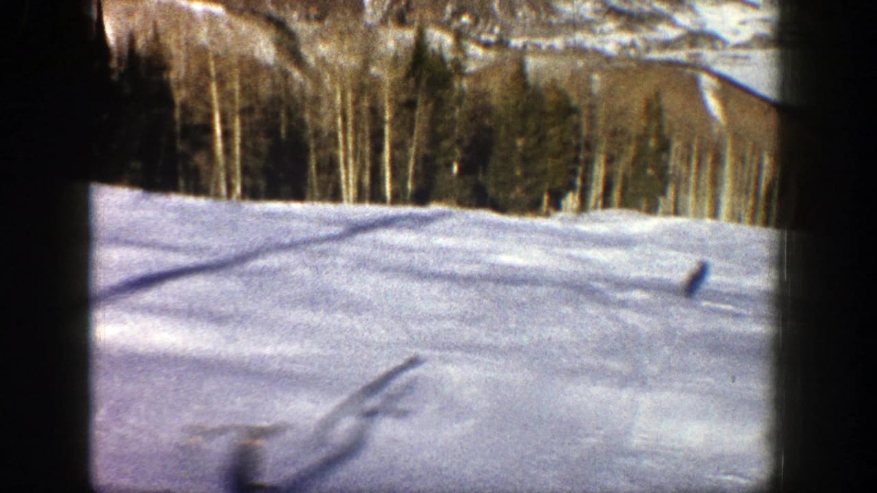 Snowy field with dark shadows, trees, and mountains in the background.