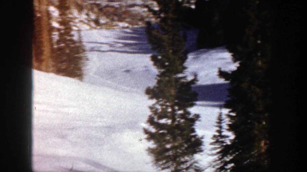 Snowfield and evergreen trees with dark vertical film edge at center.