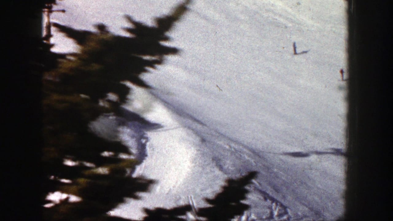 Snowy slope partly obscured by dark trees and film-frame edge.