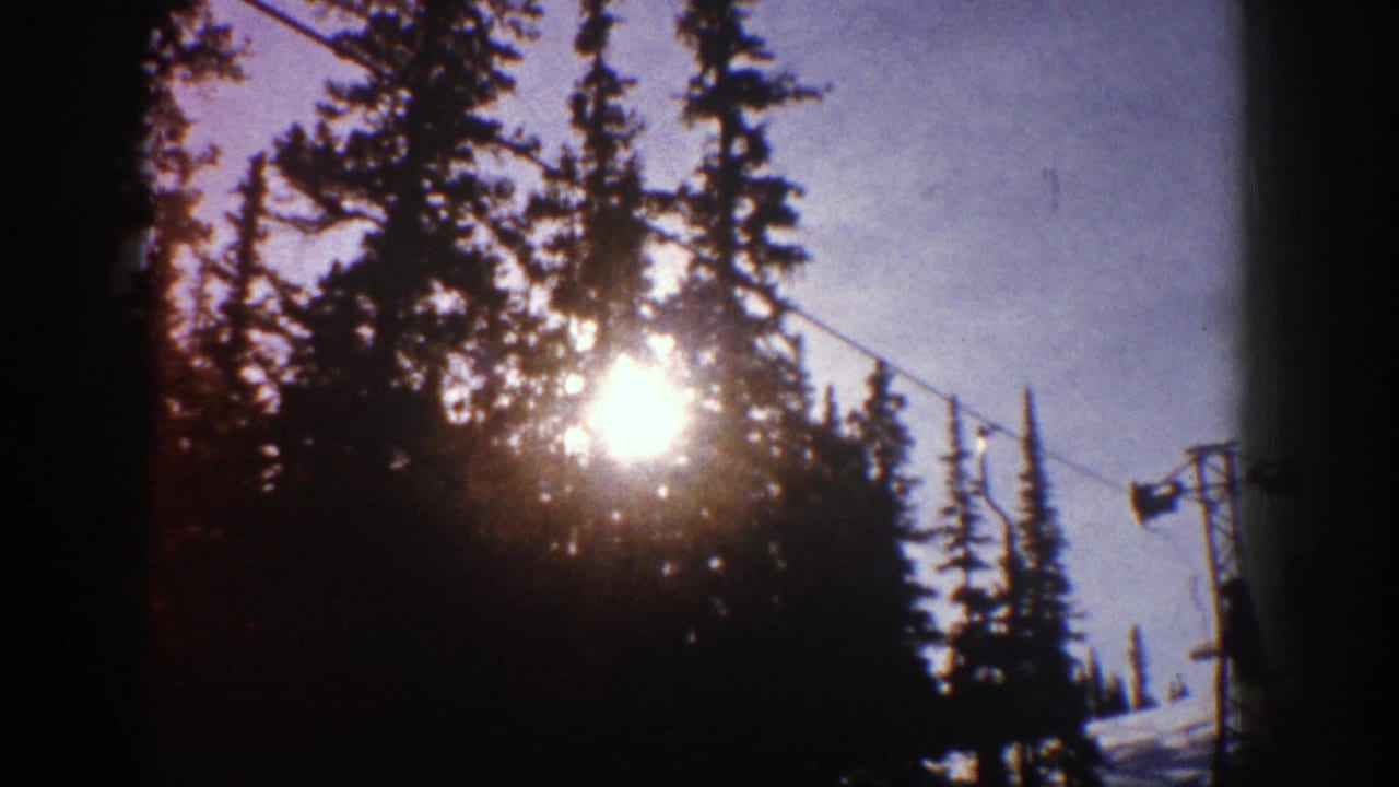 Sun glinting through evergreen trees beside an overhead ski-lift cable.