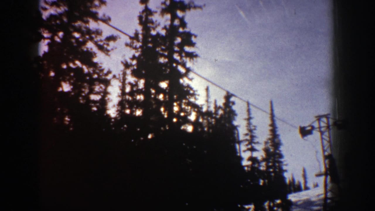 Evergreen treeline with a ski-lift cable and support hardware silhouetted against sky.
