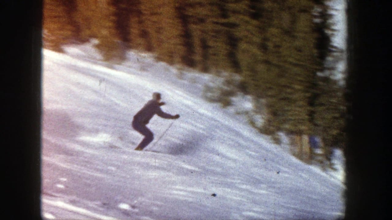Skier descending a bright snowy hillside with evergreens in the background.