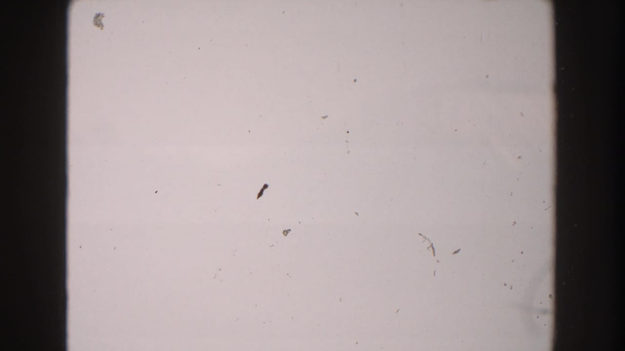 1960s Italy 8mm home-movie frame appearing blank or overexposed, with dark edge borders and visible dust.