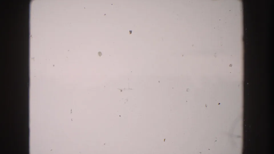 1960 Italy 8mm source frame showing a pale blank area, gate-edge darkness, dust, specks, and surface marks.