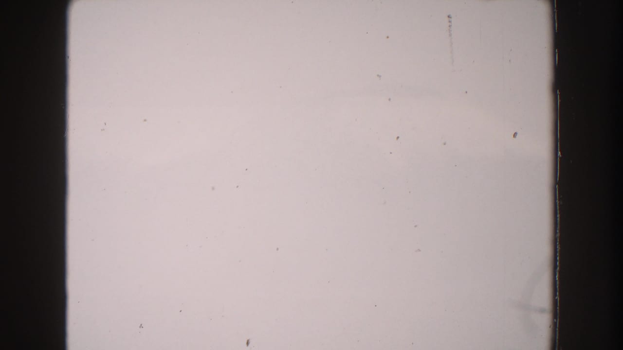 Pale blank sky with vertical film border and small dust marks.