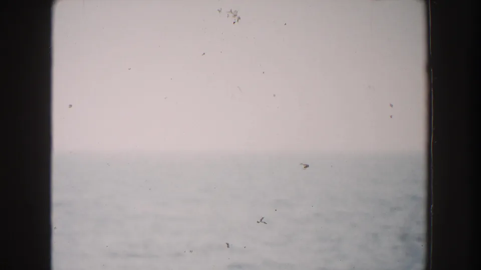 1960 Italy 8mm frame revealing a faint ocean horizon below a pale sky, with visible grain, dust, and dark frame edges.