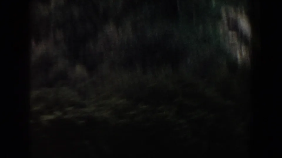 Shadowed 8mm frame from the Italy clip, with indistinct dark foliage or terrain passing through the handheld view.