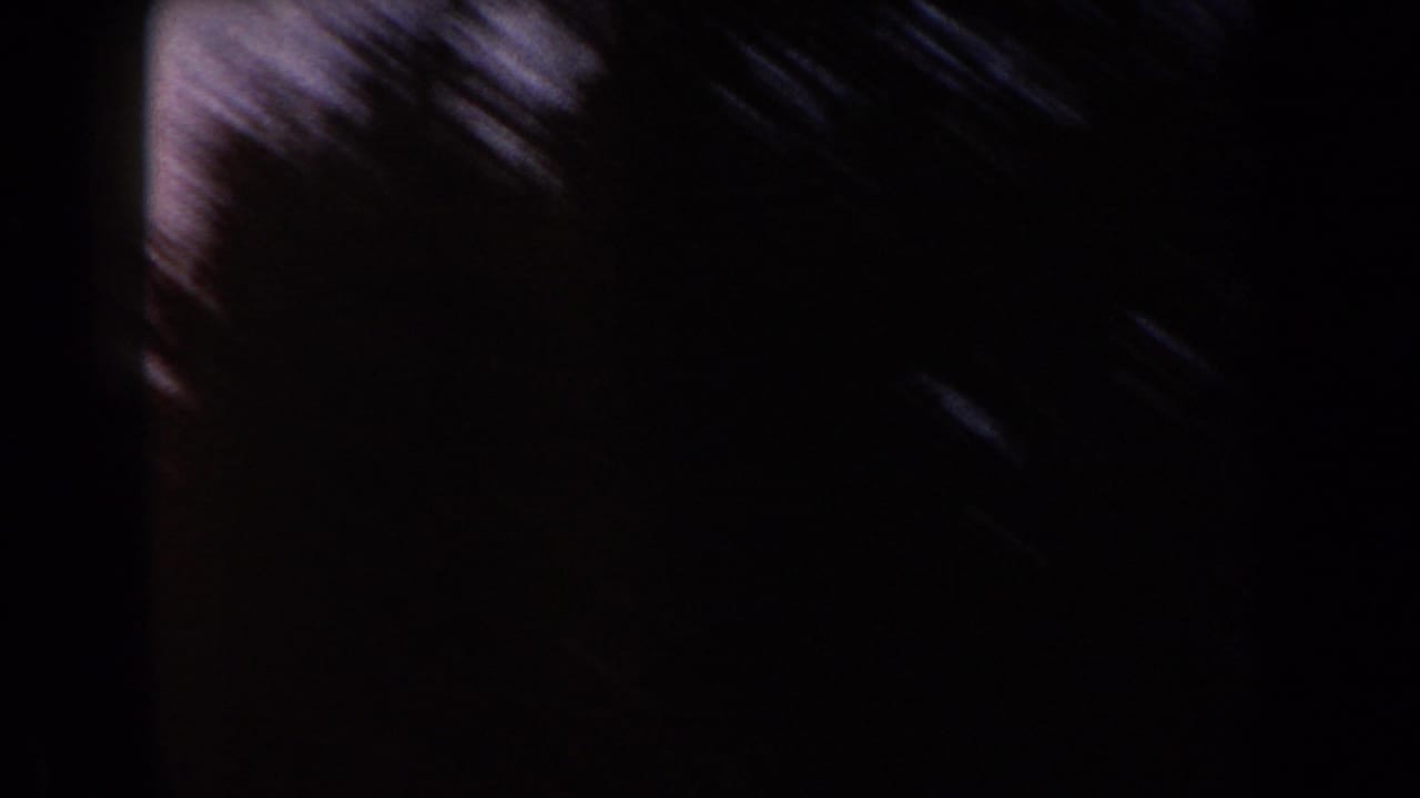 Dark blurred tree forms and film edge against a dim sky.