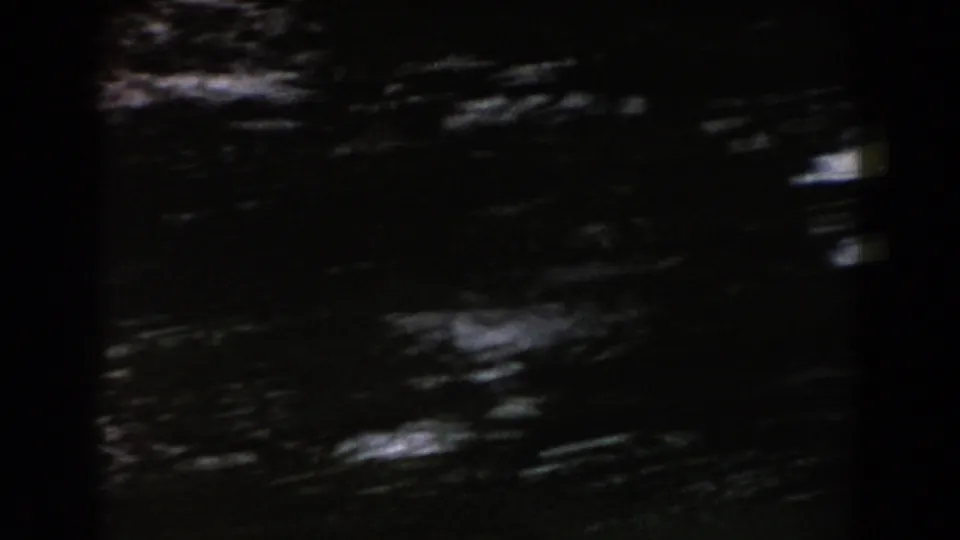 Dark, soft-focused trees and foliage in a handheld 1960 Italy 8mm wooded scene.