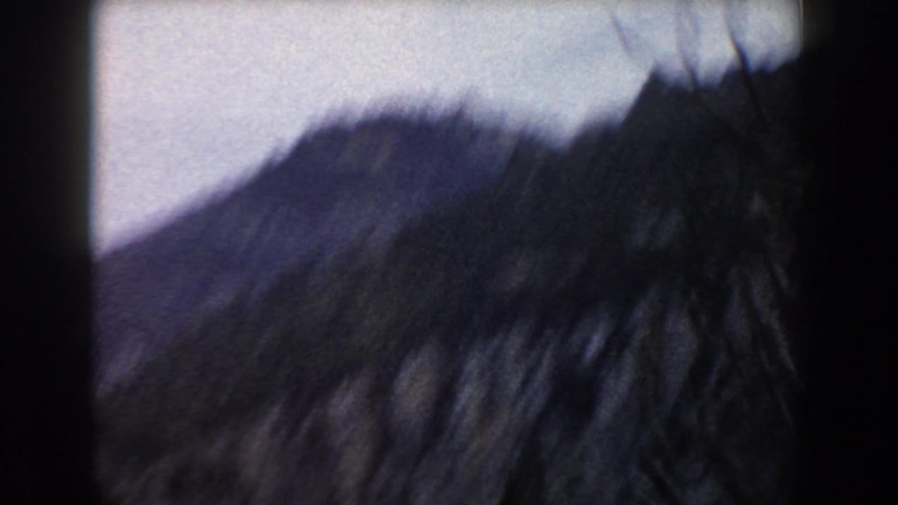 Blurred wooded hillside seen from a moving vantage point.