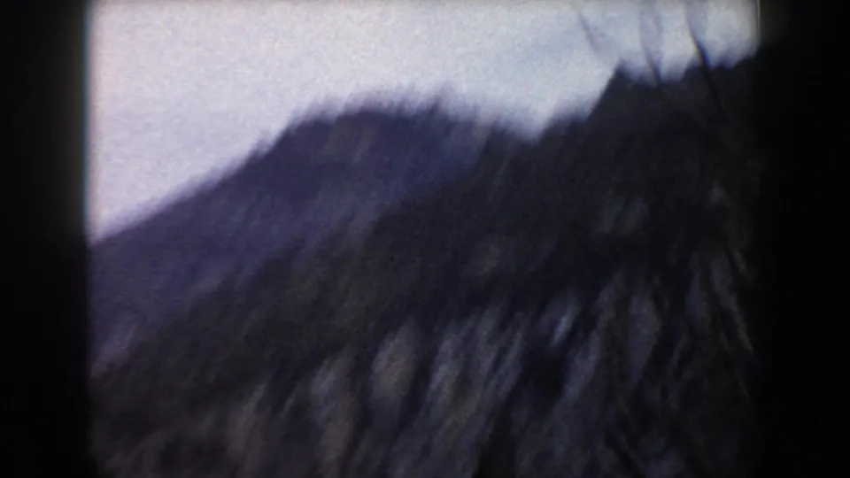 1960 Italy 8mm frame showing a dark wooded slope passing close to the camera during travel.