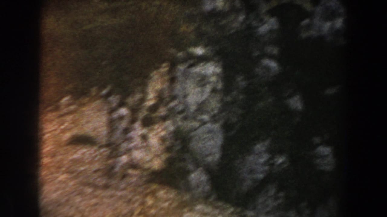 Soft rocky cliff face with dark brush and small trees along the slope.