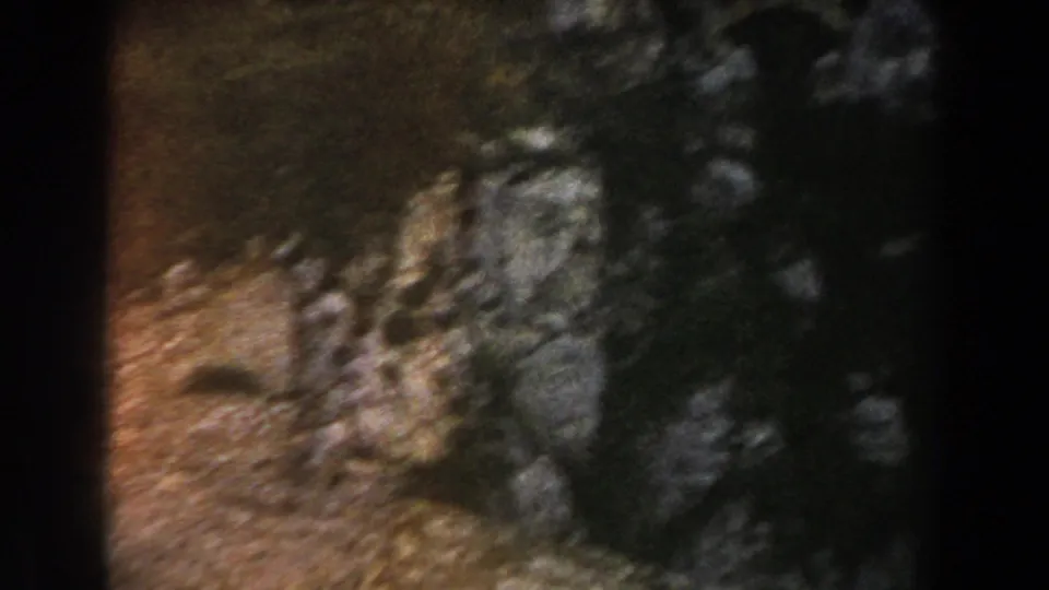 1960 8mm Italy travel frame showing a blurred rocky cliff face with sparse brush and small trees in shadow.