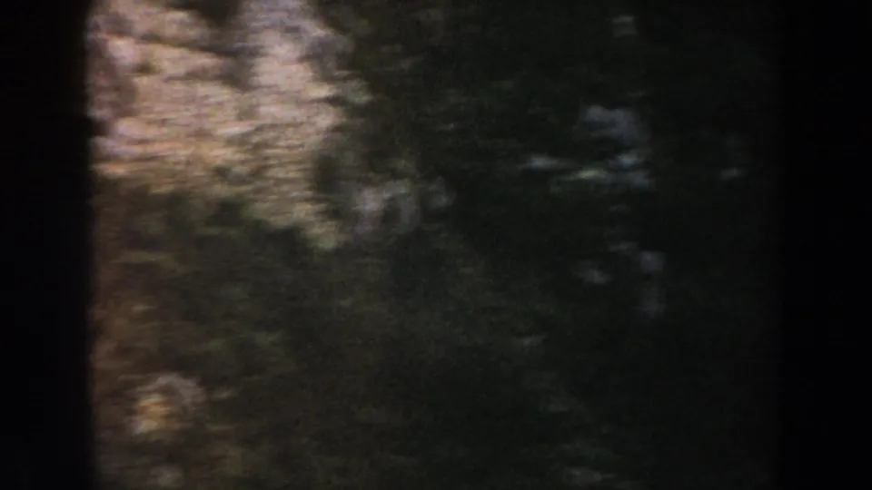 Shadowed Italian landscape detail with trees and brush crossing a rough rock surface in grainy 1960 8mm footage.