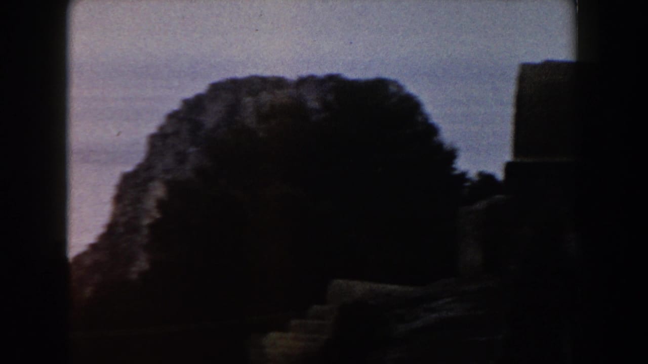 Silhouetted trees and a pale sea horizon framed by dark film edges.
