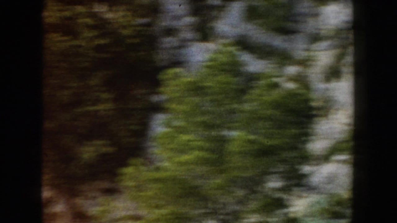 Motion-blurred view of trees, green shrubs, and pale rock beside a road.