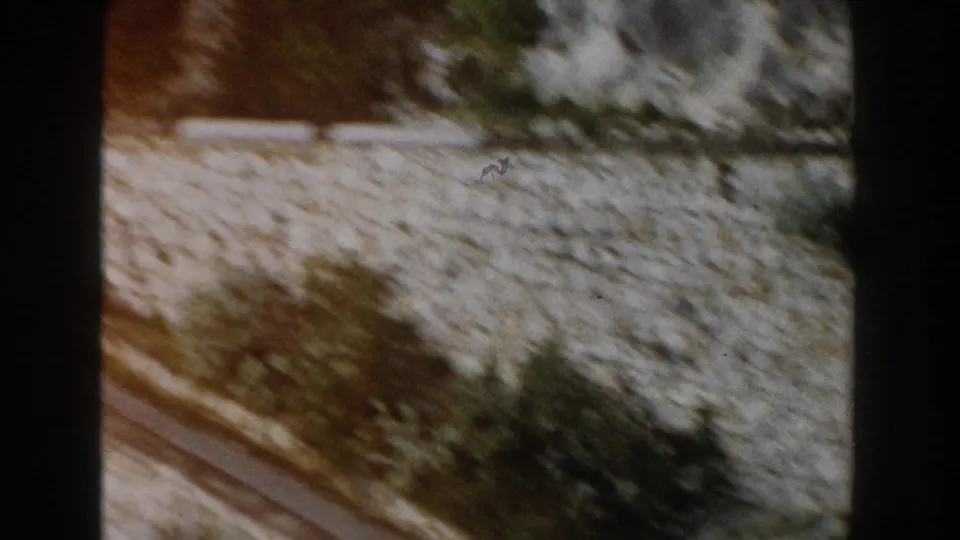 1960 Italy home-movie frame showing a pale stone wall, shrubs, and rocky roadside terrain blurred by vehicle movement.