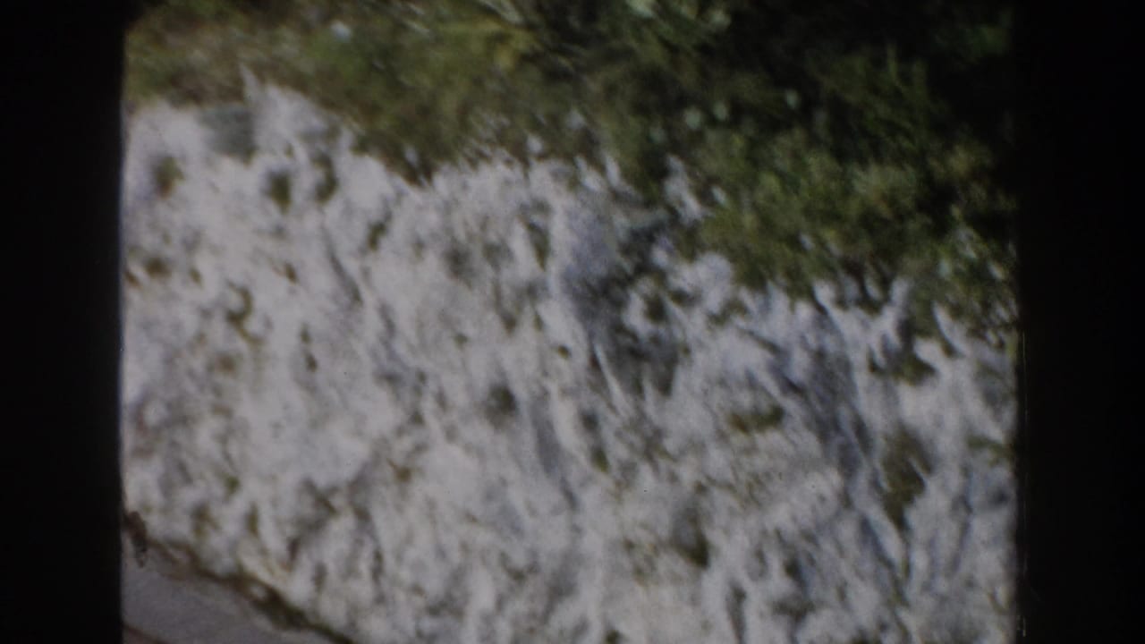 Grey rock wall with scattered greenery and dark film borders.
