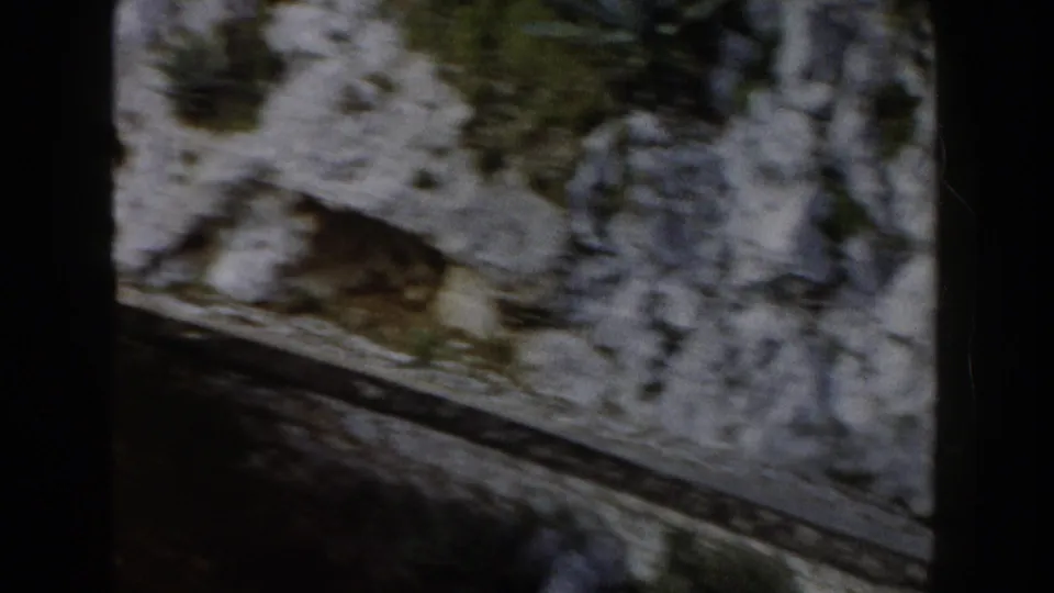Elevated 1960 Italy travel view of a cliffside road curving past pale rock, softened by motion blur.