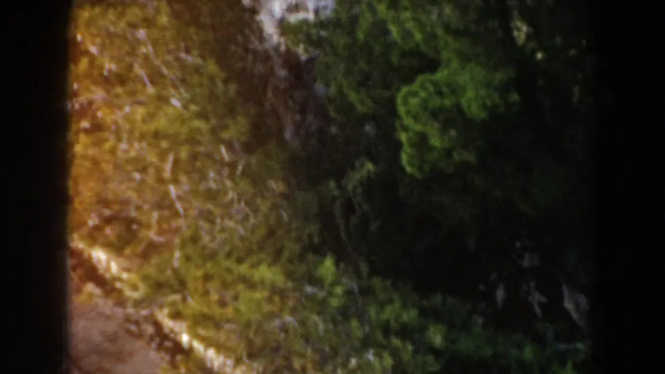 Elevated home-movie view of dark green trees, roadside edging, and rough mountain ground in 1960 Italy footage.