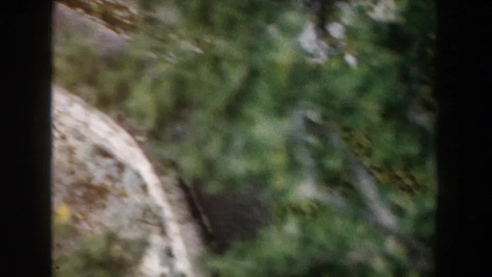 1960 Italy 8mm travel frame with blurred greenery, pale rock, and a dark vertical obstruction suggesting movement past a window or support.
