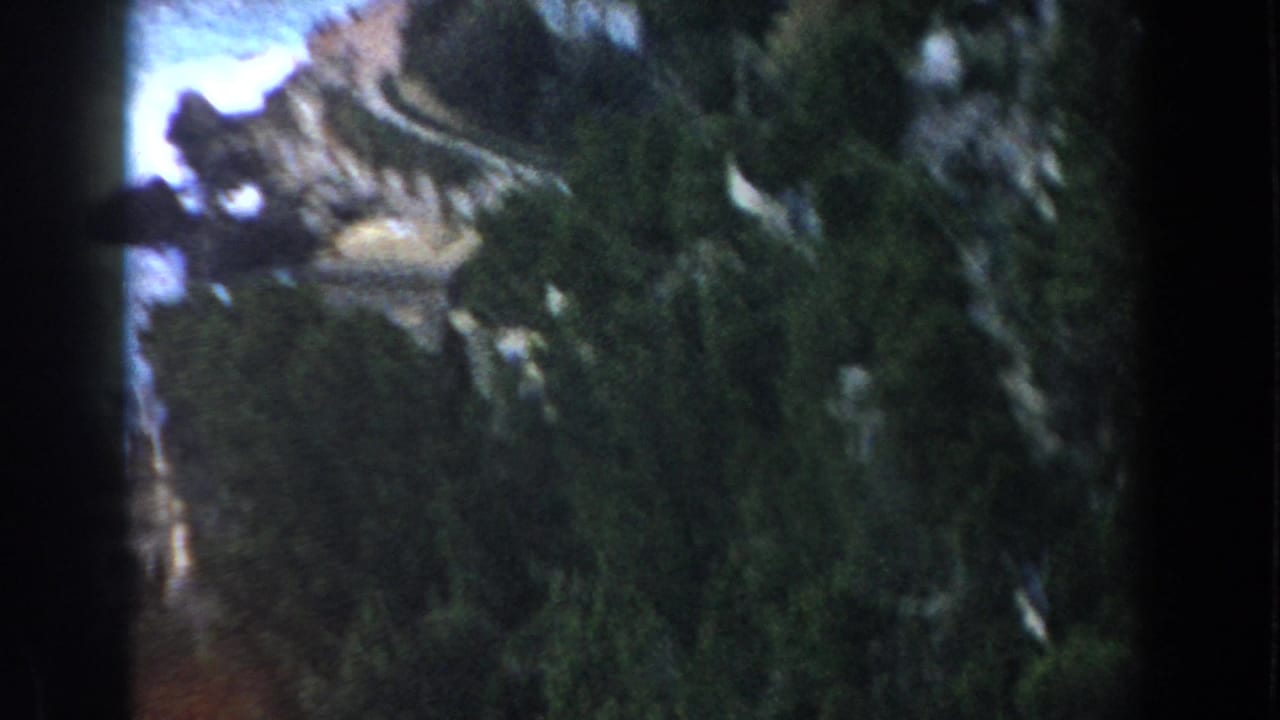 1960 Italy vacation footage frames dense vegetation and rock along a steep coastal slope.