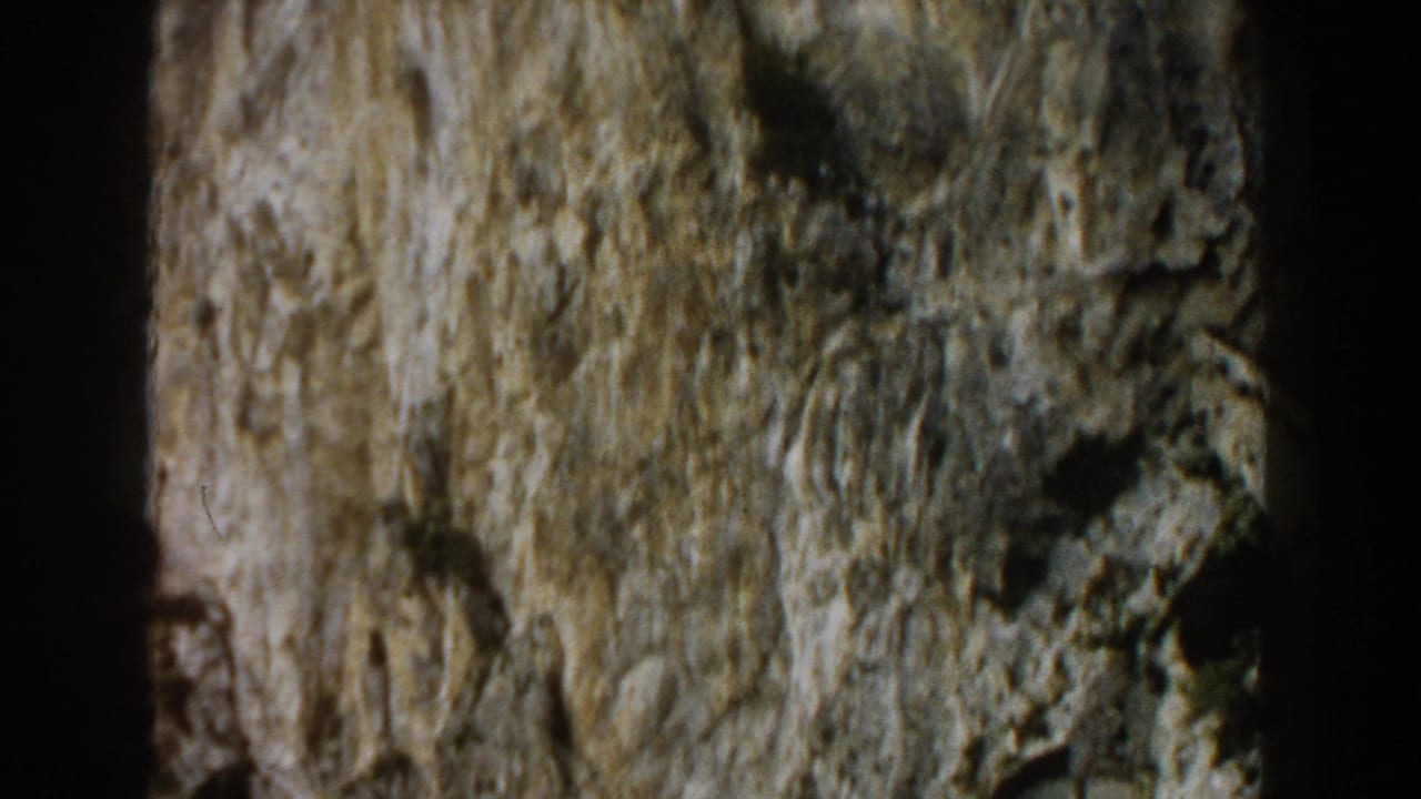 Close view of rough grey rock with greenish moss and dark crevices.