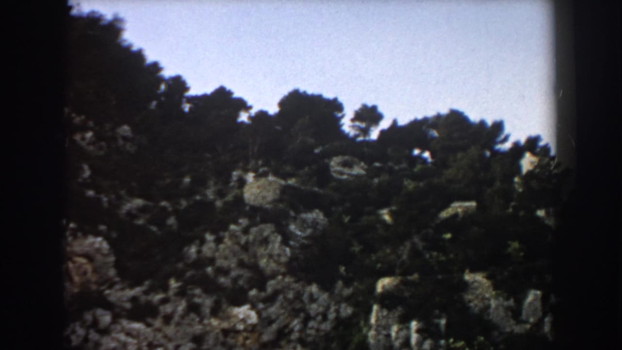 Rocky cliff with dense dark trees under a pale sky.