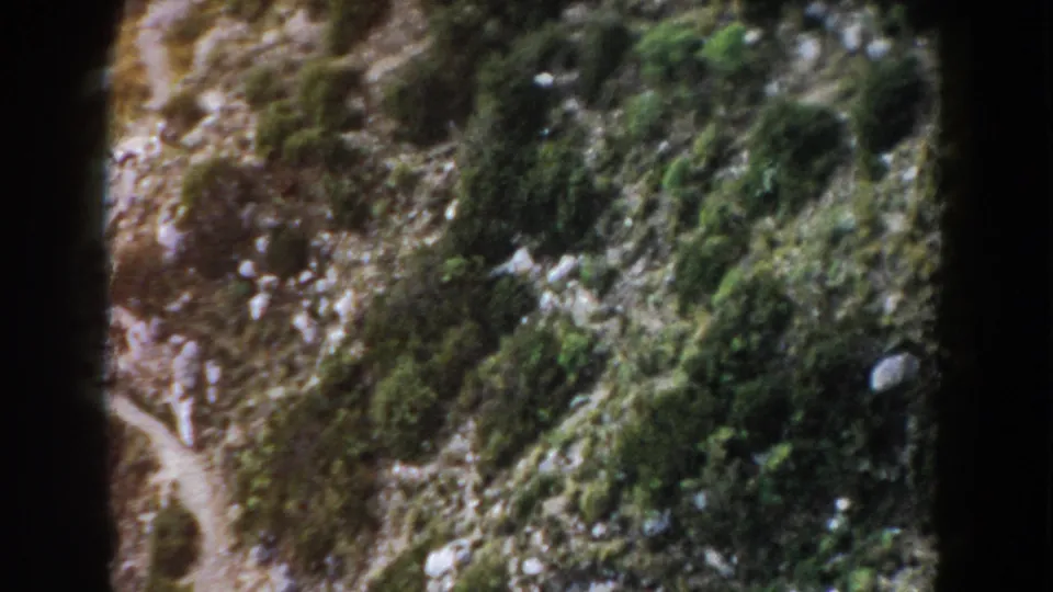 1960 Italy frame with a rough mountain slope, green vegetation, pale rocks, and a dirt path at the edge.