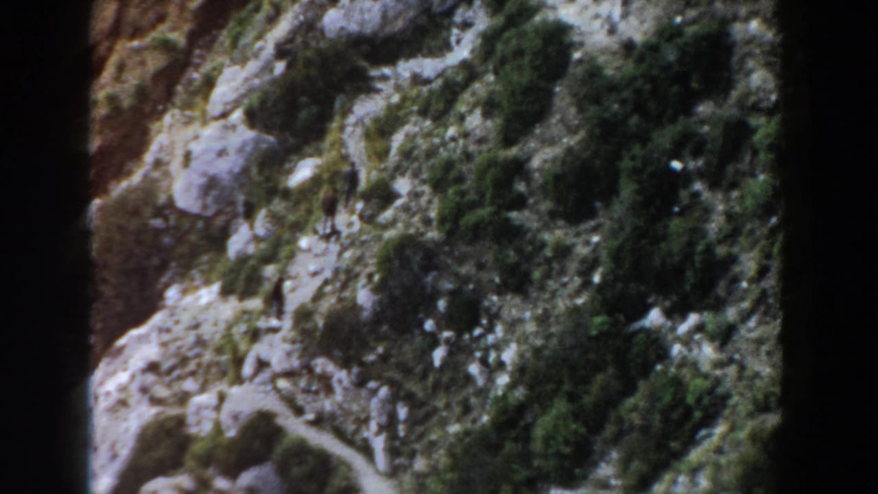Rocky hillside trail with distant hikers among shrubs and shadows.