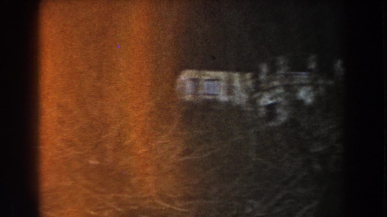 Blurred white camper or building shape beyond dark trees and orange flare.