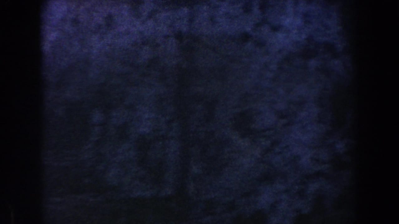 Dark blue-black low-light terrain seen through vertical obstructions.