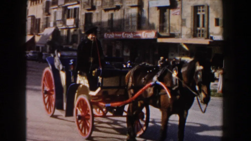 A driver in a dark coat and brimmed hat rides the horse-drawn carriage through a street in Italy, with buildings and onlookers behind him.