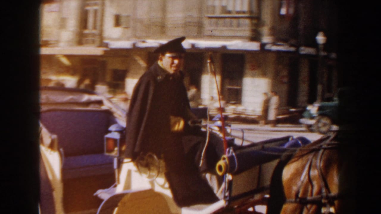 Man in a dark cape driving a horse-drawn buggy along a sunlit street.