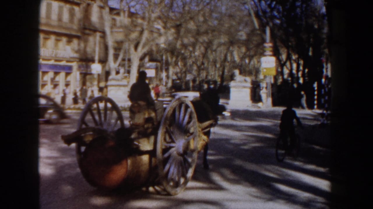 Horse-drawn cart with a barrel moves along a tree-lined street with cars and pedestrians nearby.